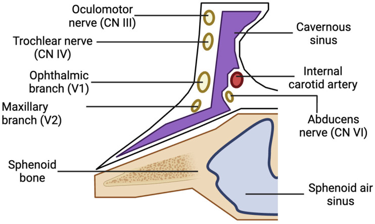Ophthalmic Complications After Dental Procedures: Scoping Review.