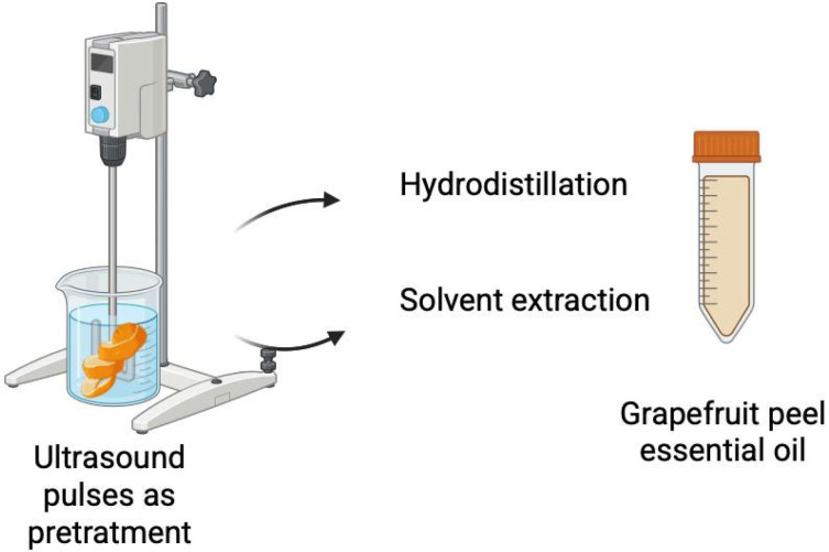 Effect of Ultrasonic Pretreatment on the Extraction Process of Essential Oils from Grapefruit (<i>Citrus paradisi</i>) By-Products.
