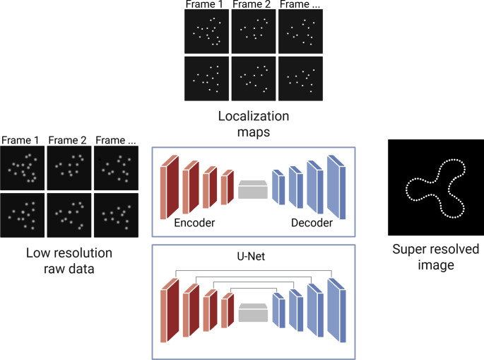 Deep learning in chromatin organization: from super-resolution microscopy to clinical applications.