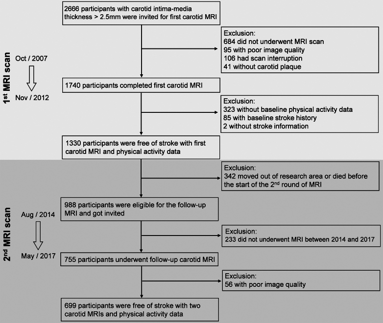 Physical activity relates to carotid plaque vulnerability in older persons with subclinical carotid atherosclerosis.