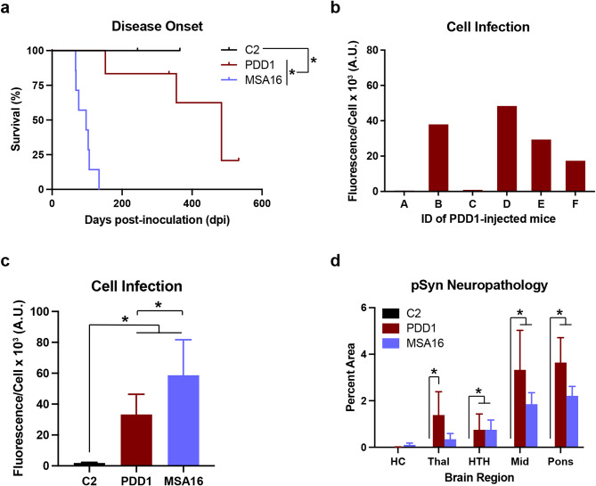Evidence of a novel α-synuclein strain isolated from a Parkinson's disease with dementia patient sample.