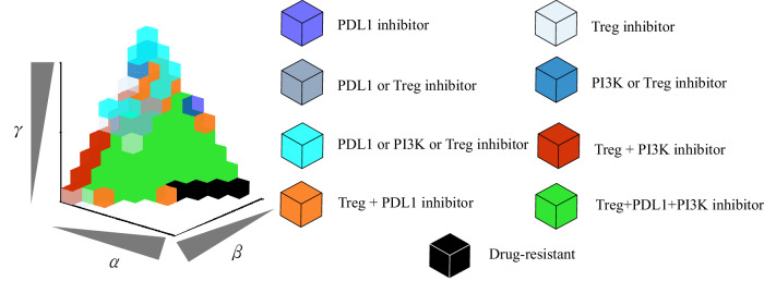 Ordinary differential equation model of cancer-associated fibroblast heterogeneity predicts treatment outcomes.