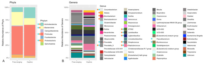 The ocular surface microbiome of rhesus macaques.