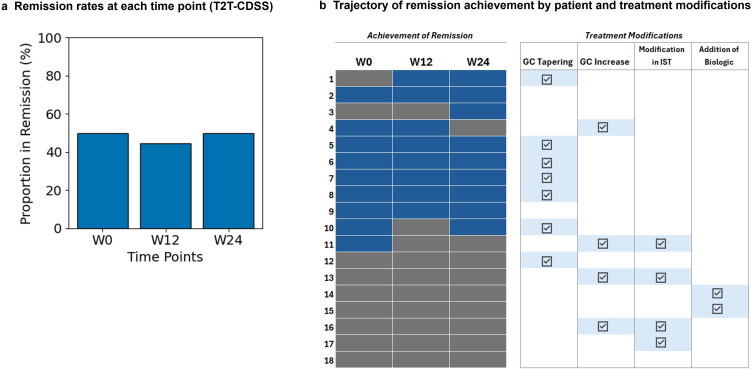 Advancing treat-to-target in SLE: a pilot study using a clinical decision support system.