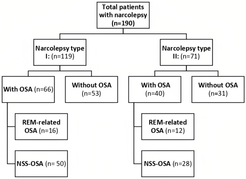 Prevalence and Factors Associated with Rapid Eye Movement-Related Obstructive Sleep Apnea in Patients with Narcolepsy.