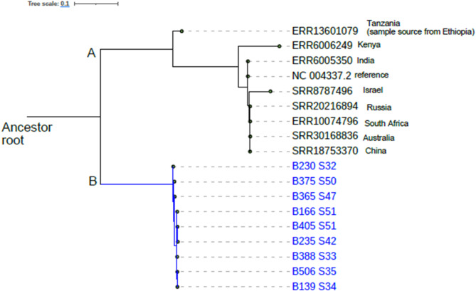 Phenotypic and genotypic relationships between Shigella species and Escherichia coli O37:H10 isolates in Addis Ababa, Ethiopia.