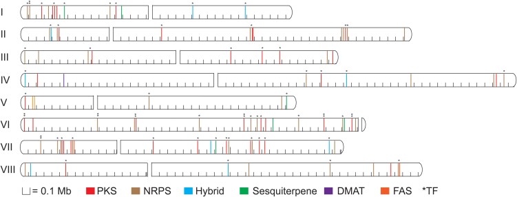 Global survey of secondary metabolism in <i>Aspergillus niger</i> via activation of specific transcription factors.