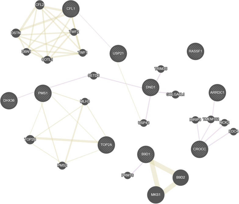DNA methylation of food sensitization in a French-Canadian population.