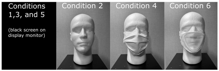 Comparison of Prototype Transparent Mask, Opaque Mask, and No Mask on Speech Understanding in Noise.