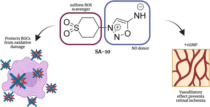 Hybrid molecule SA-10 and its PLGA nanosuspension protect human and rodent retinal ganglion cells against neuronal injury.