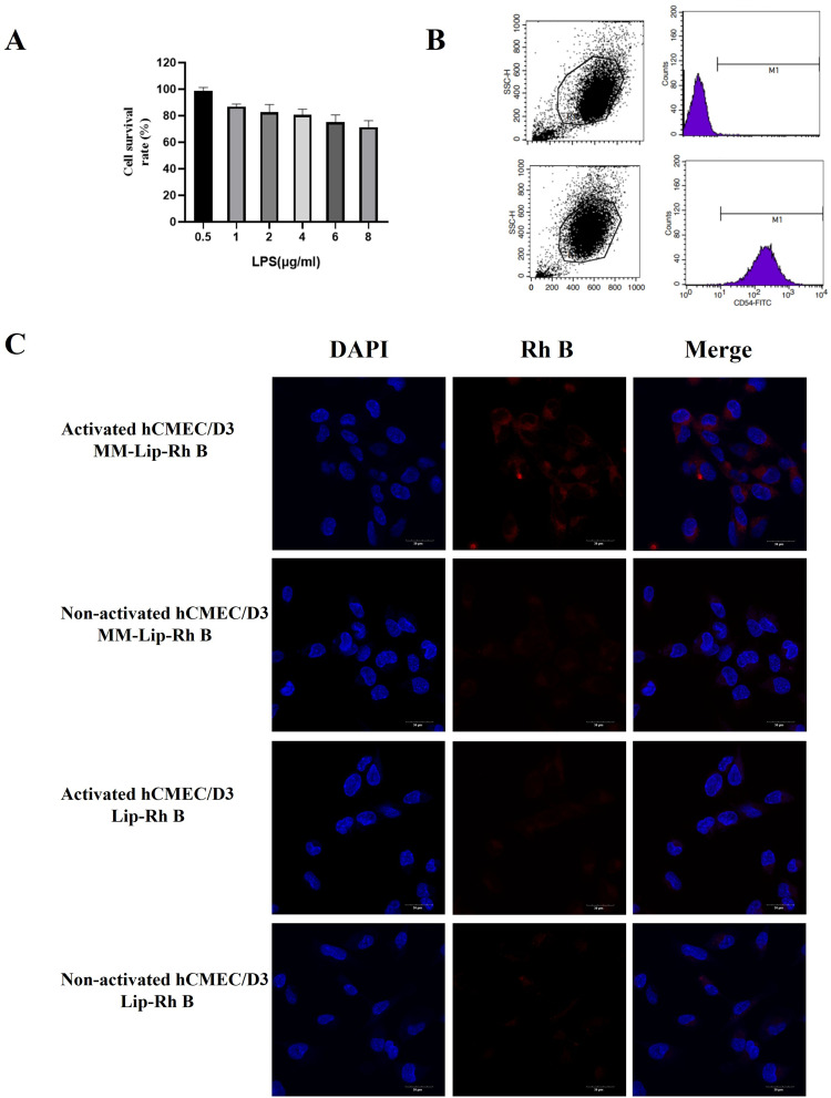 Erratum: Targeted Delivery of Macrophage Membrane Biomimetic Liposomes Through Intranasal Administration for Treatment of Ischemic Stroke [Corrigendum].