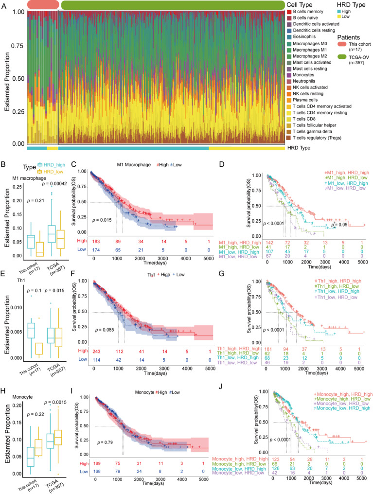 Genomic and transcriptomic data reveal molecular differences between homologous recombination deficiency subgroups in Chinese ovarian cancer patients.