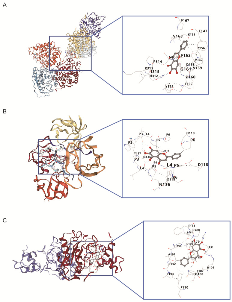 Machine learning-based transcriptomic analysis identifies candidate genes in sepsis-induced coagulopathy and explores the immunomodulatory potential of baicalein.
