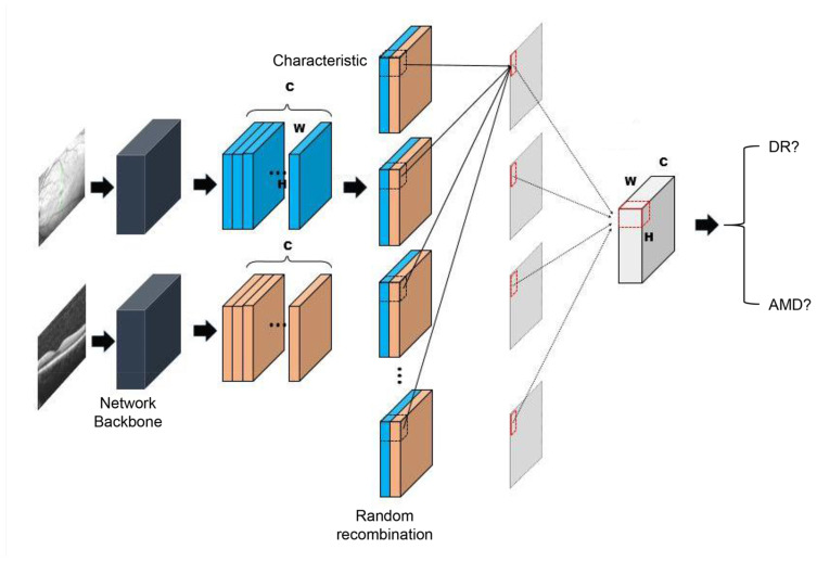 AI-Assisted Screening for Diabetic Retinopathy and Fundus Abnormalities in a Large-Scale Physical Examination Population.