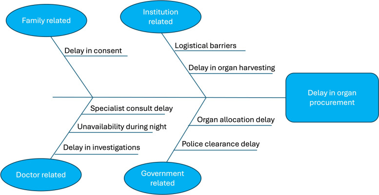 Streamlining organ donation: impact of an artificial intelligence-based protocol post-brain death.