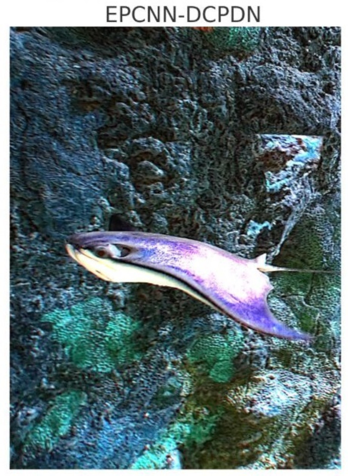A cutting-edge ensemble model for enhanced underwater image restoration and quality improvement.