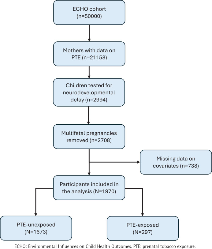 Association of prenatal tobacco exposure and child neurodevelopment: Analysis of the ECHO cohort study.