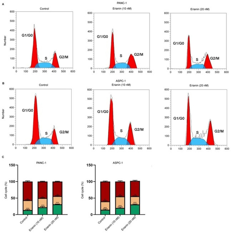 Erianin Suppresses Pancreatic Cancer Progression by Inducing Cell Cycle Arrest and Ferroptosis.