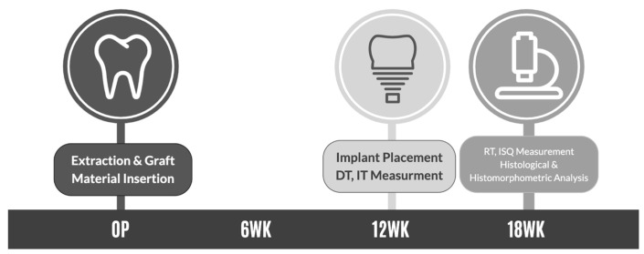 Evaluation of Hydroxyapatite-β-Tricalcium Phosphate Collagen Composites for Socket Preservation in a Canine Model.