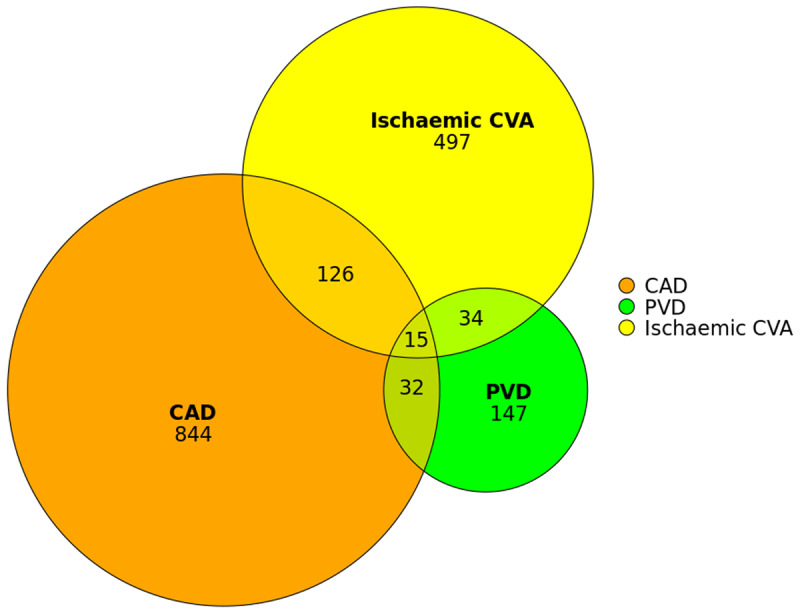 Prevalence, Clinical Characteristics and Prognosis of Vascular Disease in Valvular Heart Surgery: A Multi-Centre Study.