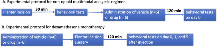 The effect of non-opioid multimodal analgesics and dexamethasone monotherapy on acute incisional pain behaviors in rats.