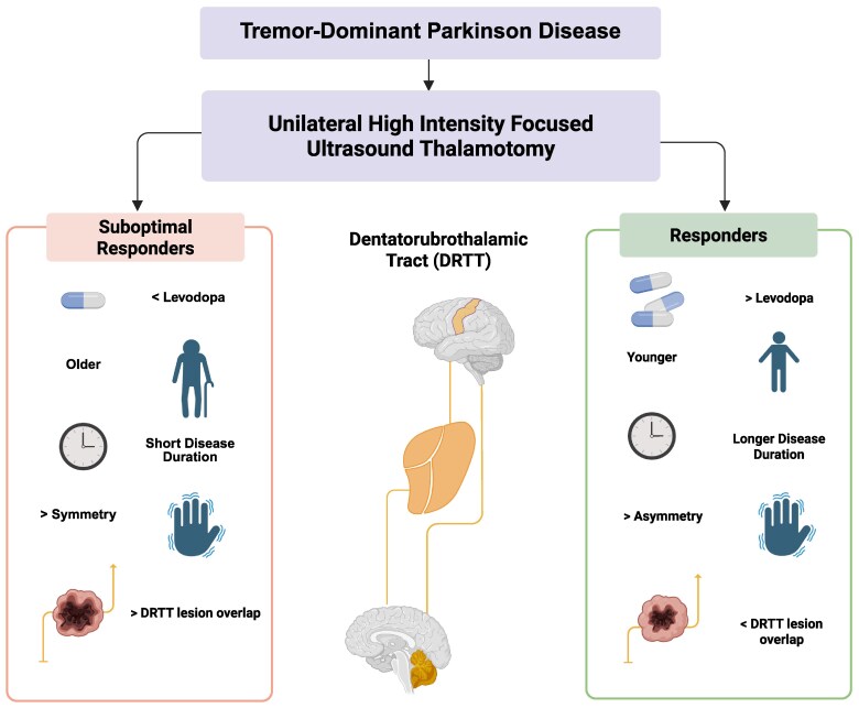 Unilateral focused ultrasound thalamotomy for tremor-dominant Parkinson's disease: blinded evaluation and imaging correlation.