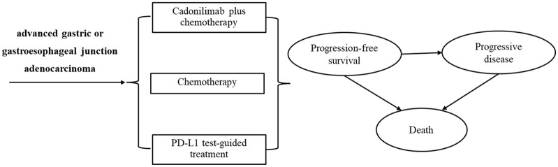 Cost-effectiveness of cadonilimab plus chemotherapy in the first-line treatment of HER2-negative advanced gastric or gastroesophageal junction adenocarcinoma.