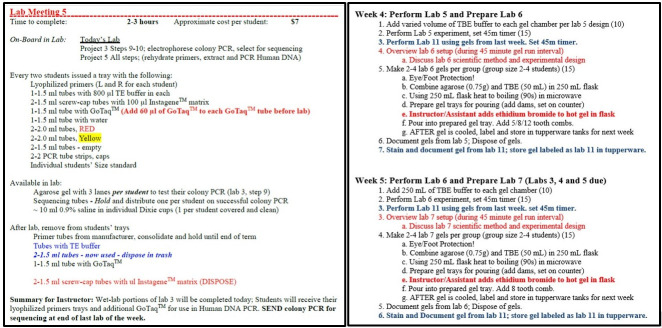 Laboratory course development and implementation fostering teaching assistant growth.