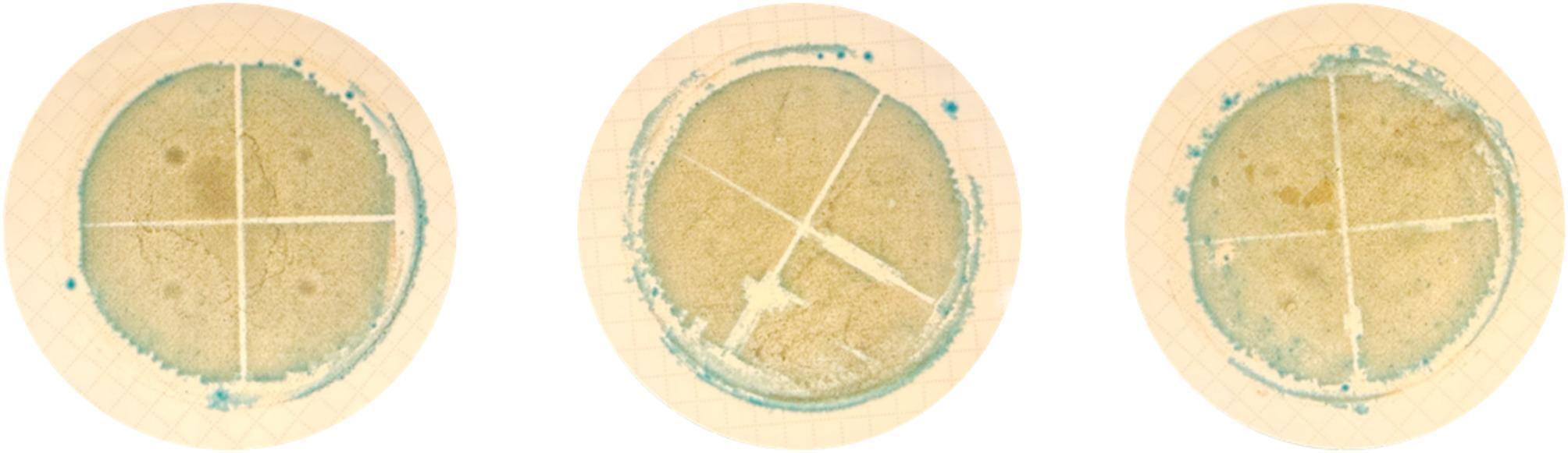 Evaluating the recovery of pan-susceptible and antibiotic-resistant Escherichia coli in synthetic test agricultural water using membrane filtration and colilert methods.