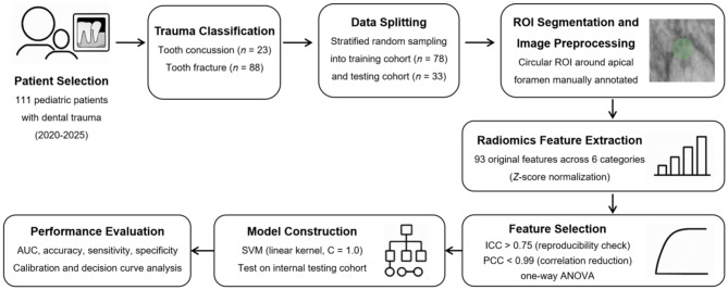 Radiomics-based classification of pediatric dental trauma in periapical radiographs: a preliminary study.