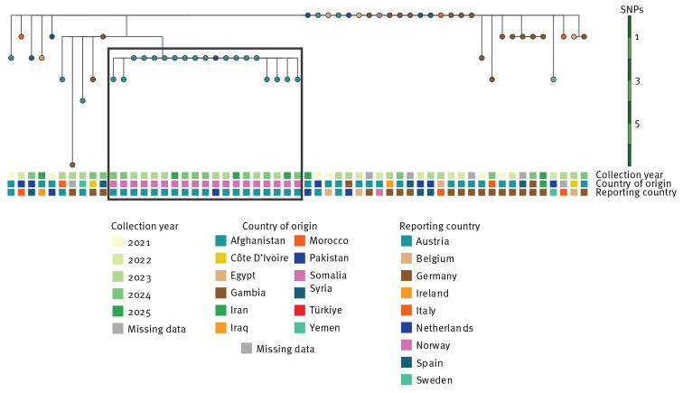 Cross-border investigation of a tuberculosis outbreak in Vienna linked to a multi-country cluster among foreign-born individuals, Europe, 2021 to 2025.