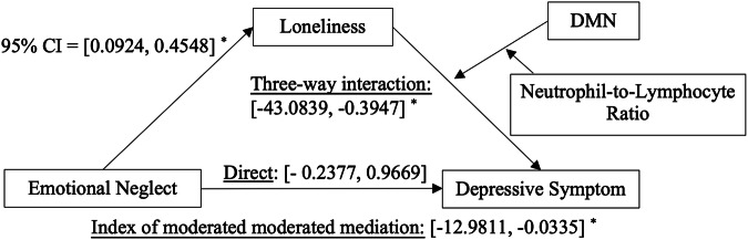 A psychoneuroimmunological underpinnings of the relationship between childhood trauma, loneliness, and depression in older adults.