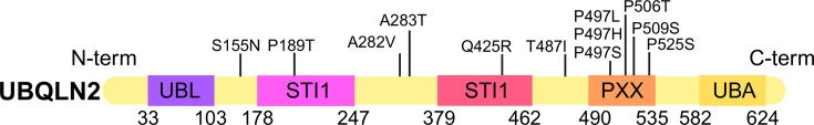 UBQLN2 in neurodegenerative disease: mechanistic insights and emerging therapeutic potential.