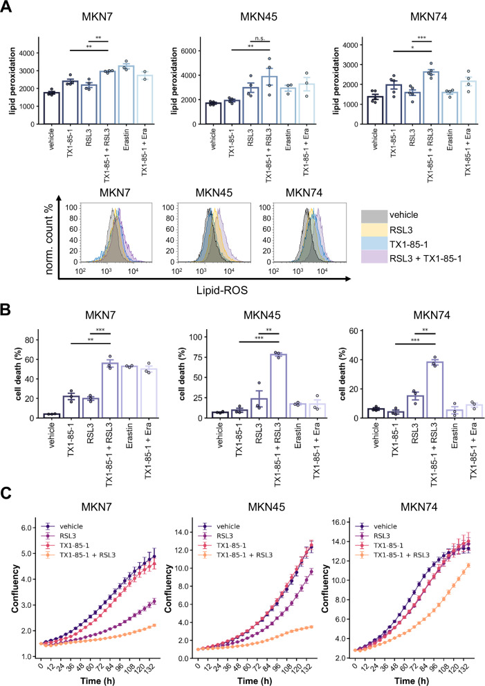 ERBB3 influences the ferroptosis pathway via modulation of lipid peroxidation and GSH synthesis in gastric cancer.