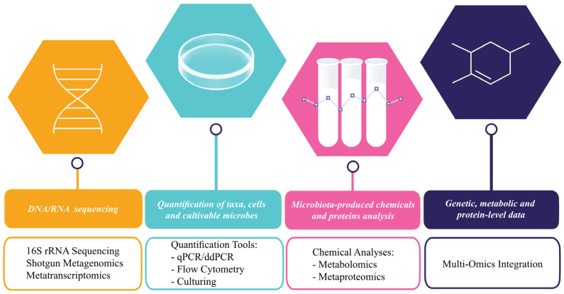 Host-Microbiome Interaction in the Intensive Care Unit.
