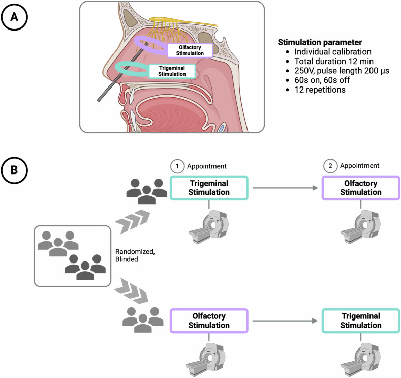 Modulating salience network connectivity through olfactory nerve stimulation.