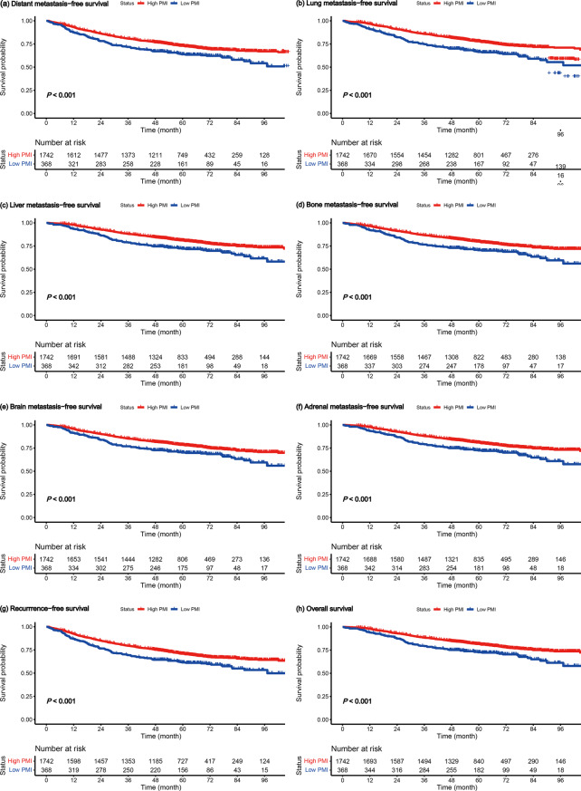 Preoperative pectoralis muscle index predicts distant metastasis-free survival in non-small cell lung cancer patients: a retrospective study.