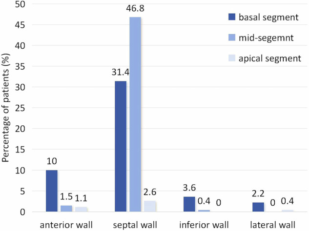 Left ventricular remodeling index to predict ventricular tachyarrhythmia in dilated cardiomyopathy with ejection fraction < 35.