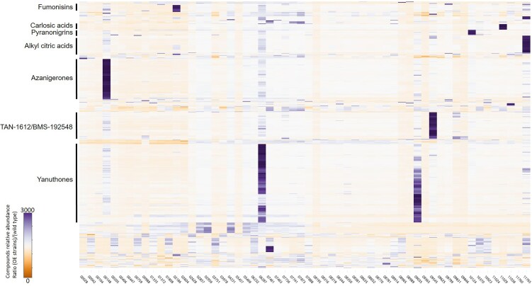 Global survey of secondary metabolism in <i>Aspergillus niger</i> via activation of specific transcription factors.