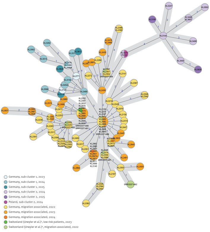 Two diphtheria sub-clusters with autochthonous cases in Germany and Poland within a <i>Corynebacterium diphtheriae</i> ST-574 outbreak, 2022 to July 2025.
