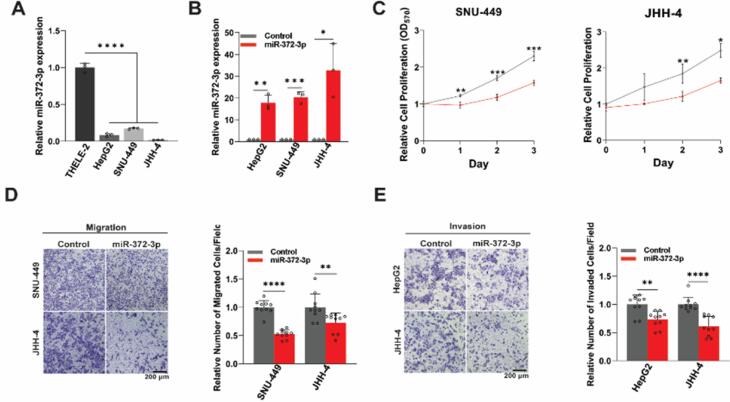 MicroRNA-372-3p impairs fatty acid metabolism in hepatocellular carcinoma cells by targeting <i>CPT1A</i> and <i>ACSL4</i>.