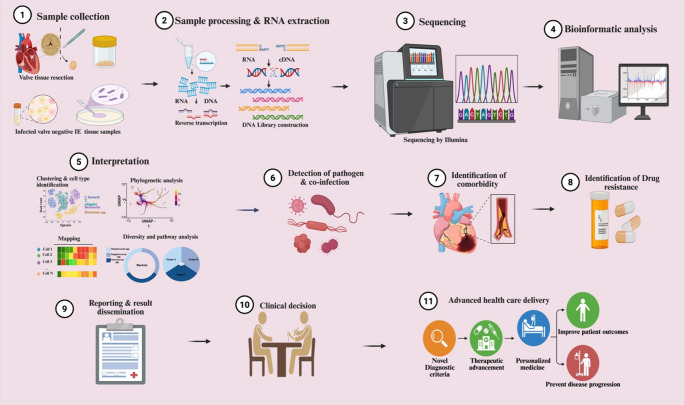 Unveiling the Future of Infective Endocarditis Diagnosis: The Transformative Role of Metagenomic Next-Generation Sequencing in Culture-Negative Cases.