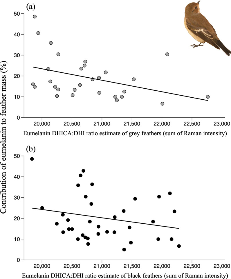Pigment contribution to feather mass depends on melanin form and is restricted to approximately 25.