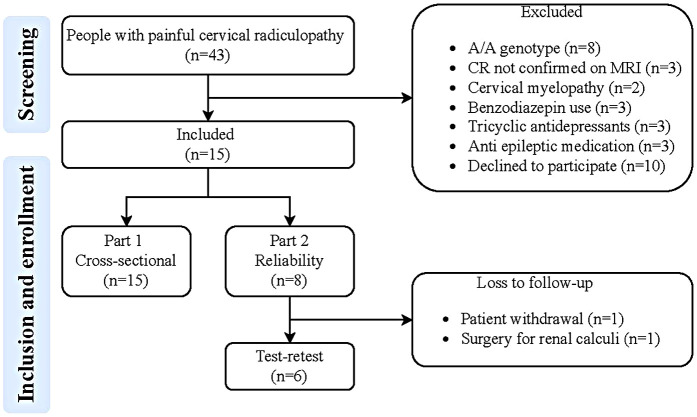 Quantification of neuroinflammation in spinal cord and neuroforamina of patients with painful cervical radiculopathy using [<sup>11</sup>C]DPA713 PET/CT.