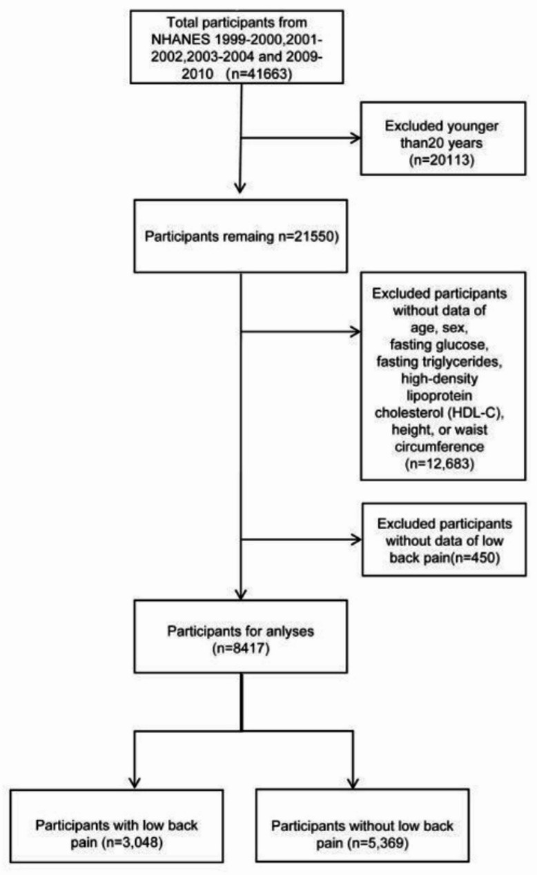Association between metabolism and low back pain: a cross-sectional study.