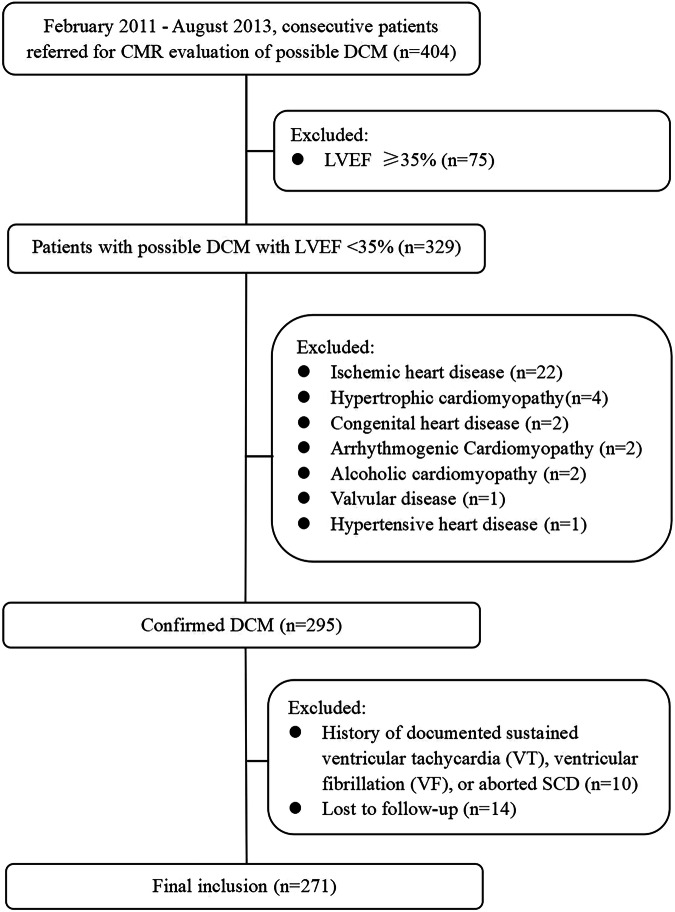 Left ventricular remodeling index to predict ventricular tachyarrhythmia in dilated cardiomyopathy with ejection fraction < 35.