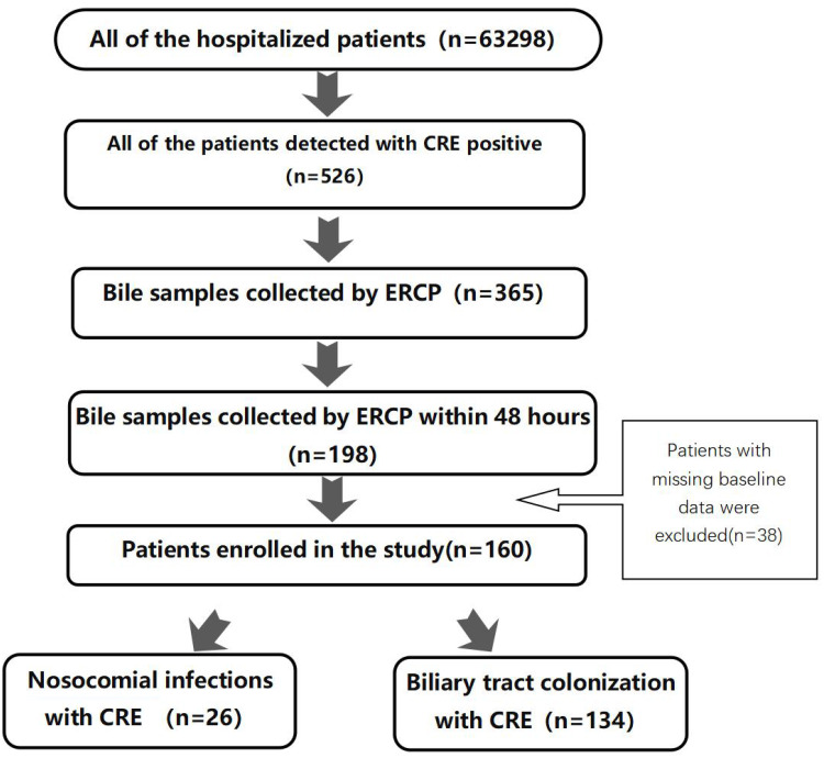 From Screening to Strategy: Targeted Carbapenem-Resistant Enterobacteriaceae (CRE) Infection Prediction After Endoscopic Retrograde Cholangiopancreatography (ERCP).