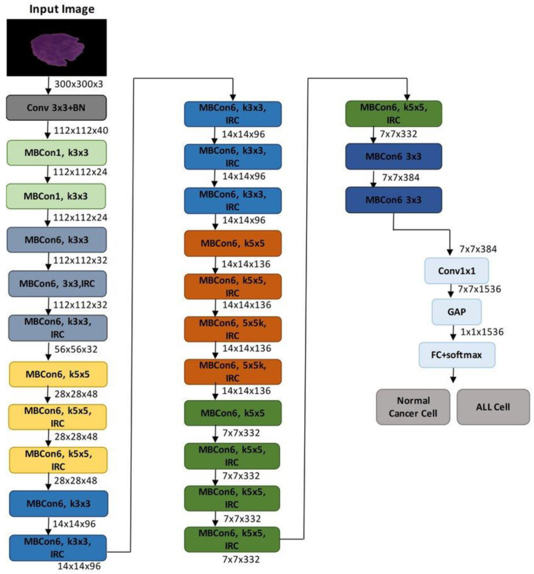 Fundus Image-Based Eye Disease Detection Using EfficientNetB3 Architecture.