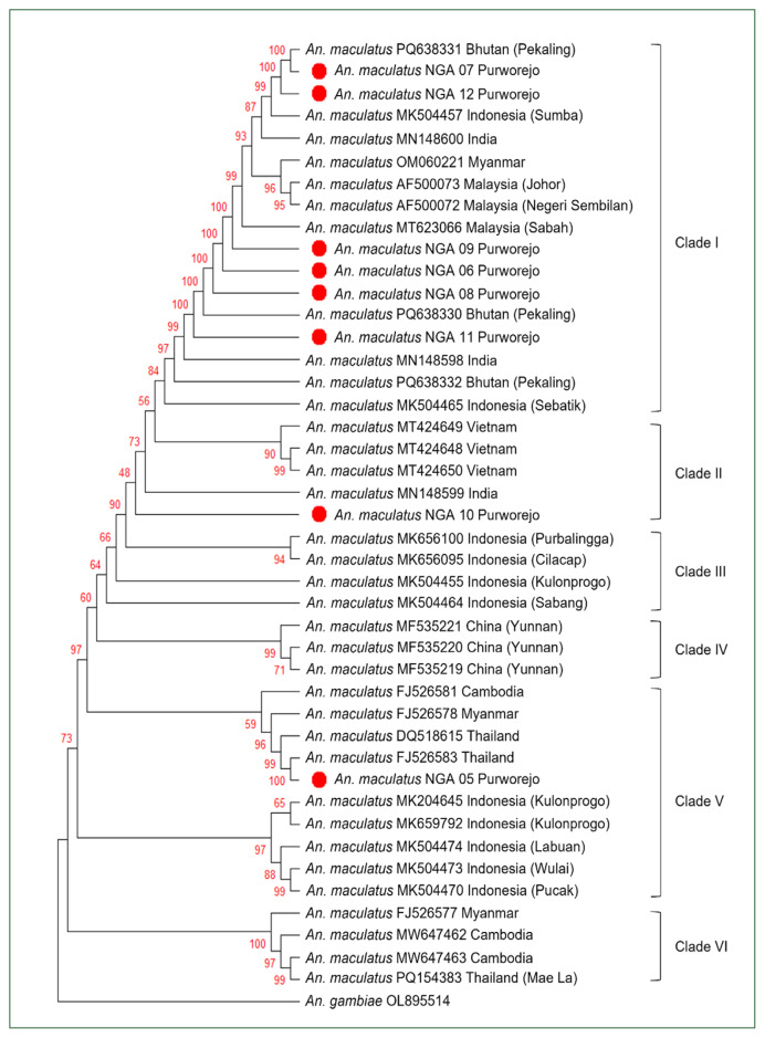 Genetic diversity and phylogeographic structure of Anopheles kochi, Anopheles maculatus, and Anopheles vagus: ITS2-based analysis of highland transboundary populations in the Menoreh Hills, Java, Indonesia.