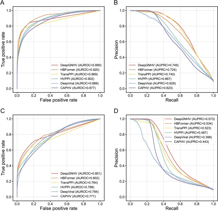 Graph neural network integrated with pretrained protein language model for predicting human-virus protein-protein interactions.